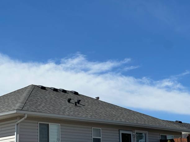 Steel Roofing in Breckenridge, MN